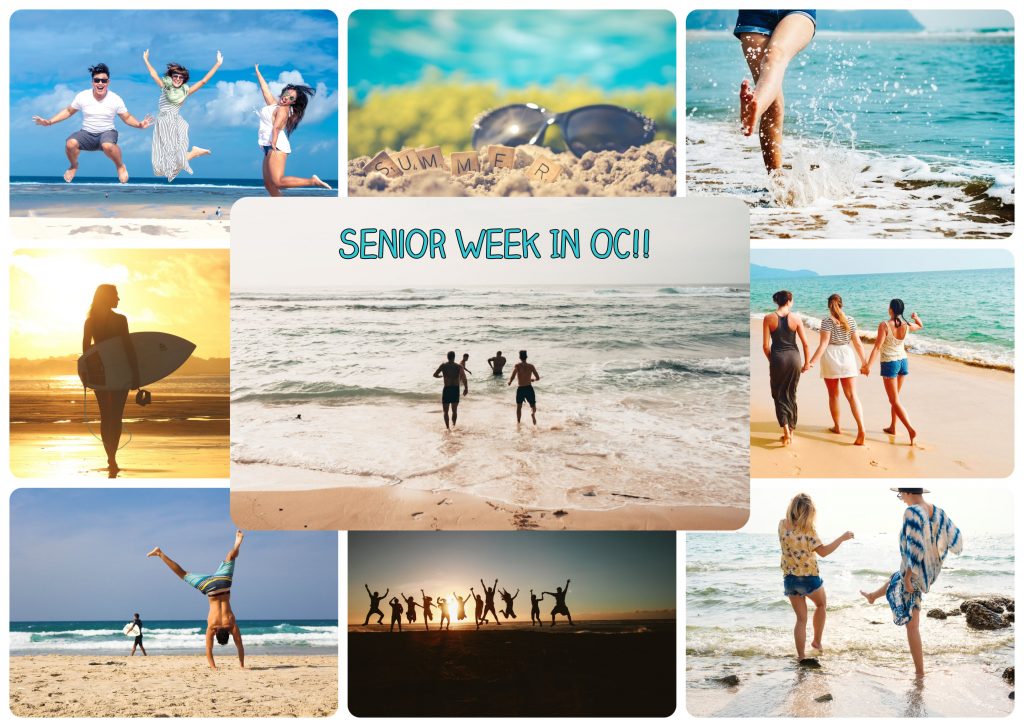 Senior Week 2024 Ocean City MD Senior Week in Ocean City MD Rental